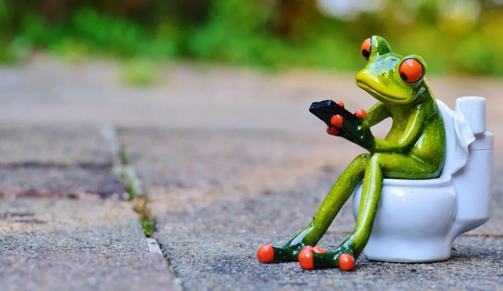 A frog sitting on a portable toilet